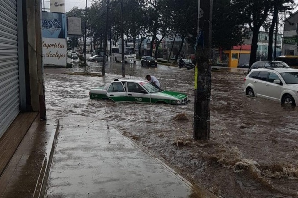 Intensa lluvia provoca caída de árbol e inundaciones en Xalapa