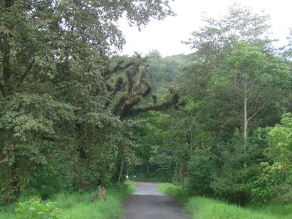 Cierran acceso al parque Natura en Xalapa | Crónica del Poder