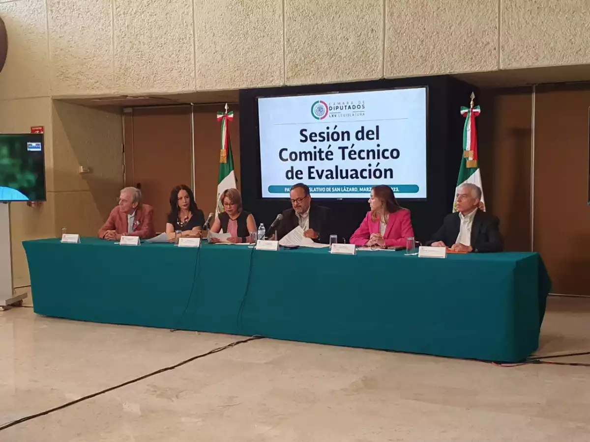 Comité Avala Lista De 20 Aspirantes Para Relevo De Cuatro Consejeros Del Ine Crónica Del Poder 3692